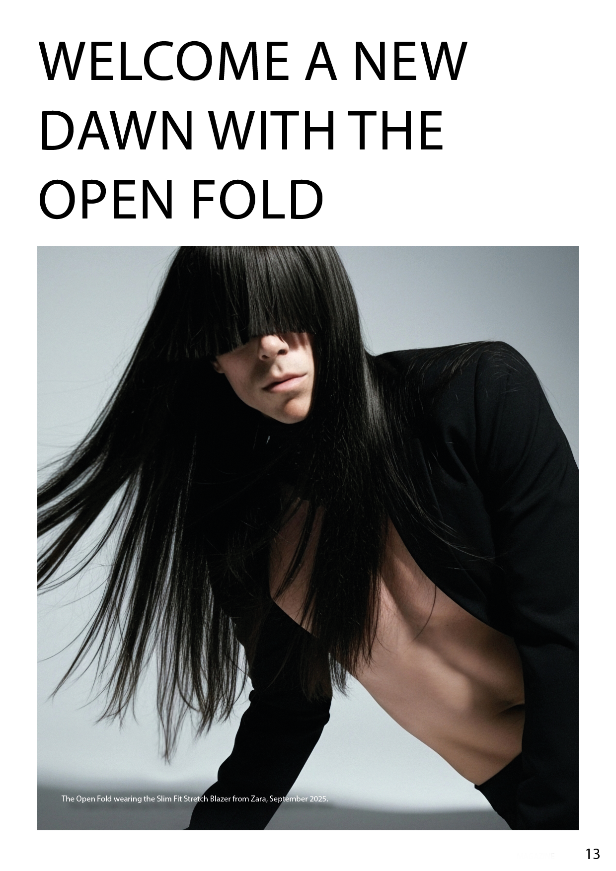 Keywords: The Open Fold;Merde magazine;Alex McKee